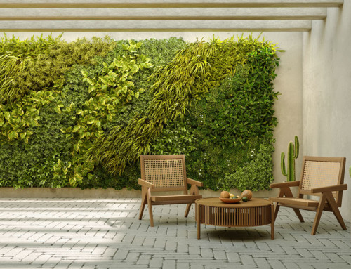 Stress Relief from Using Indoor Plants