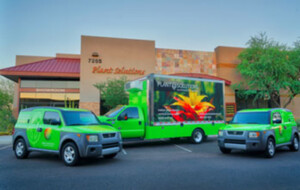 Horticultural Services in Arizona