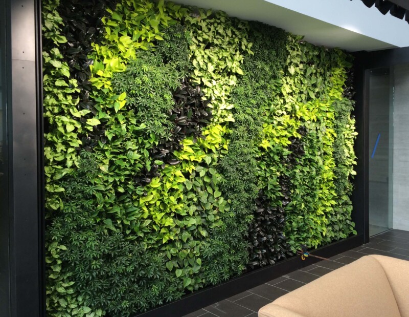 Plant Walls - Plant Solutions