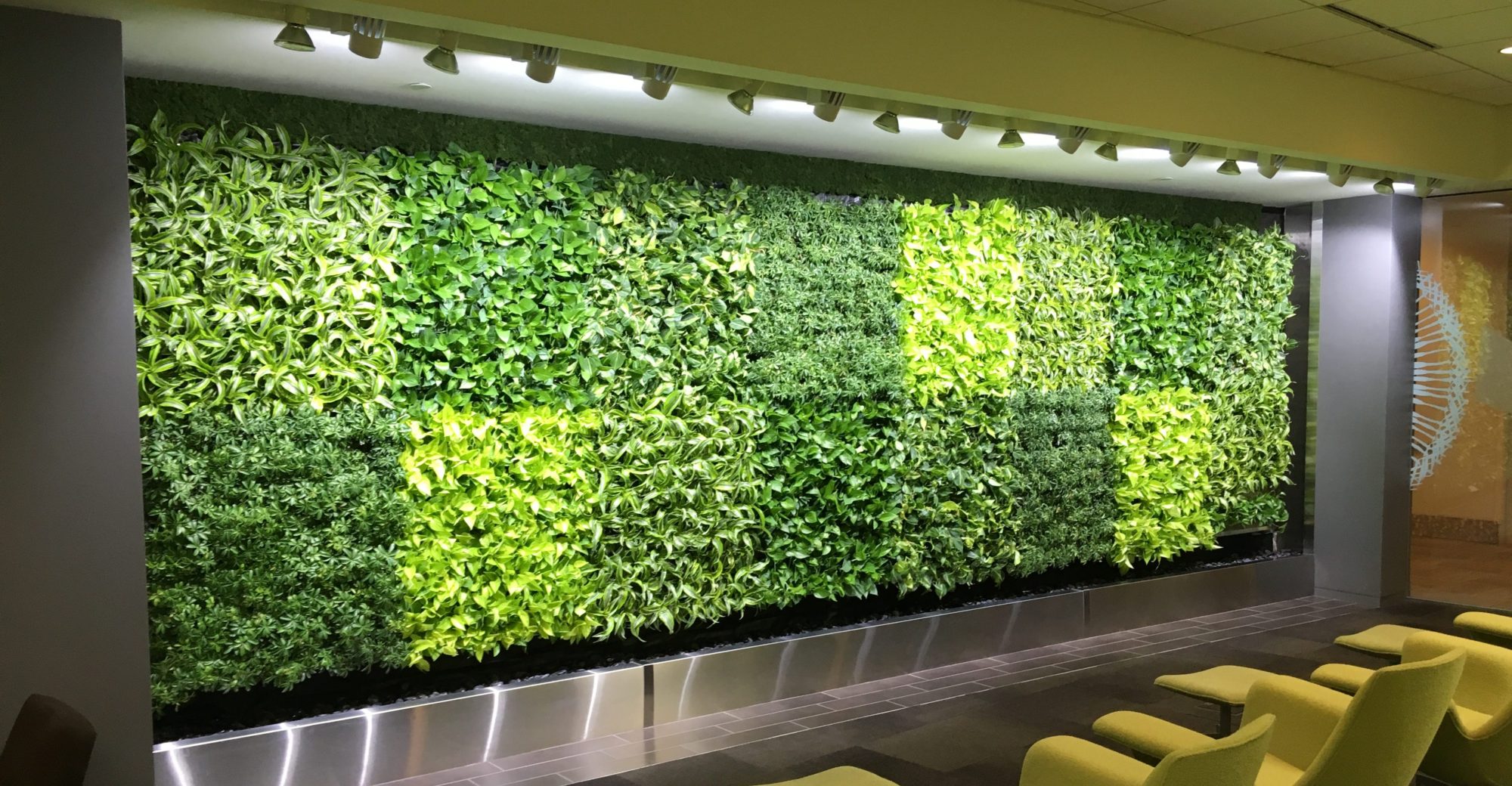 living plant walls