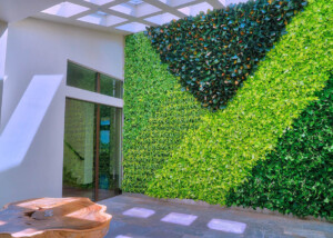 living plant walls