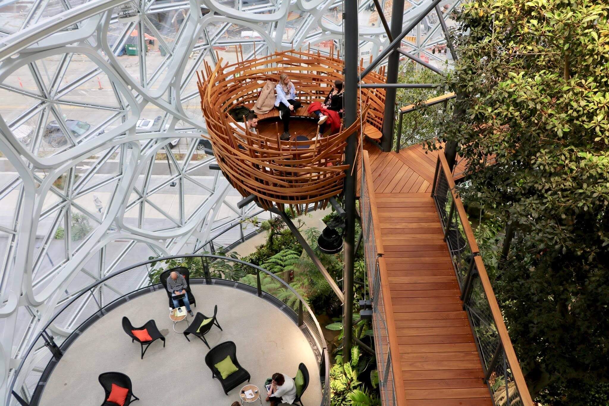 What Can We Learn From The Most Successful Biophilic Offices?