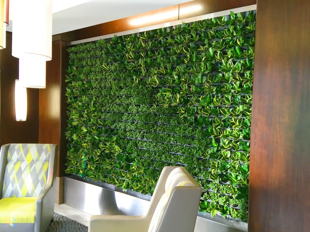 biomimicry-and-biophilia