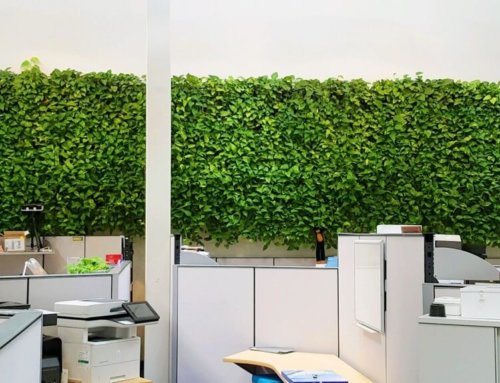 Ways to Combat Wintertime Blues in the Office