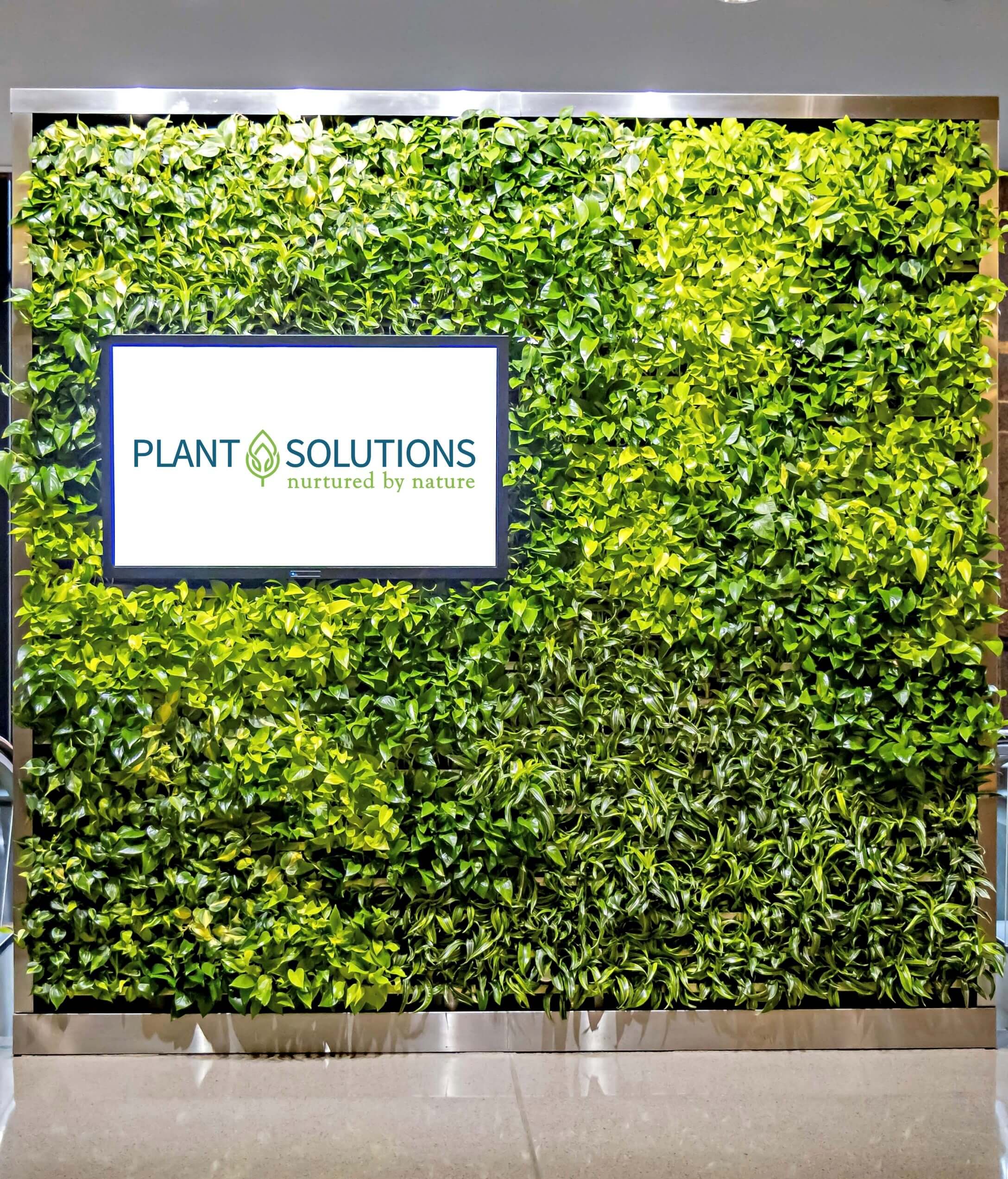plant-solutions-best-landscaper