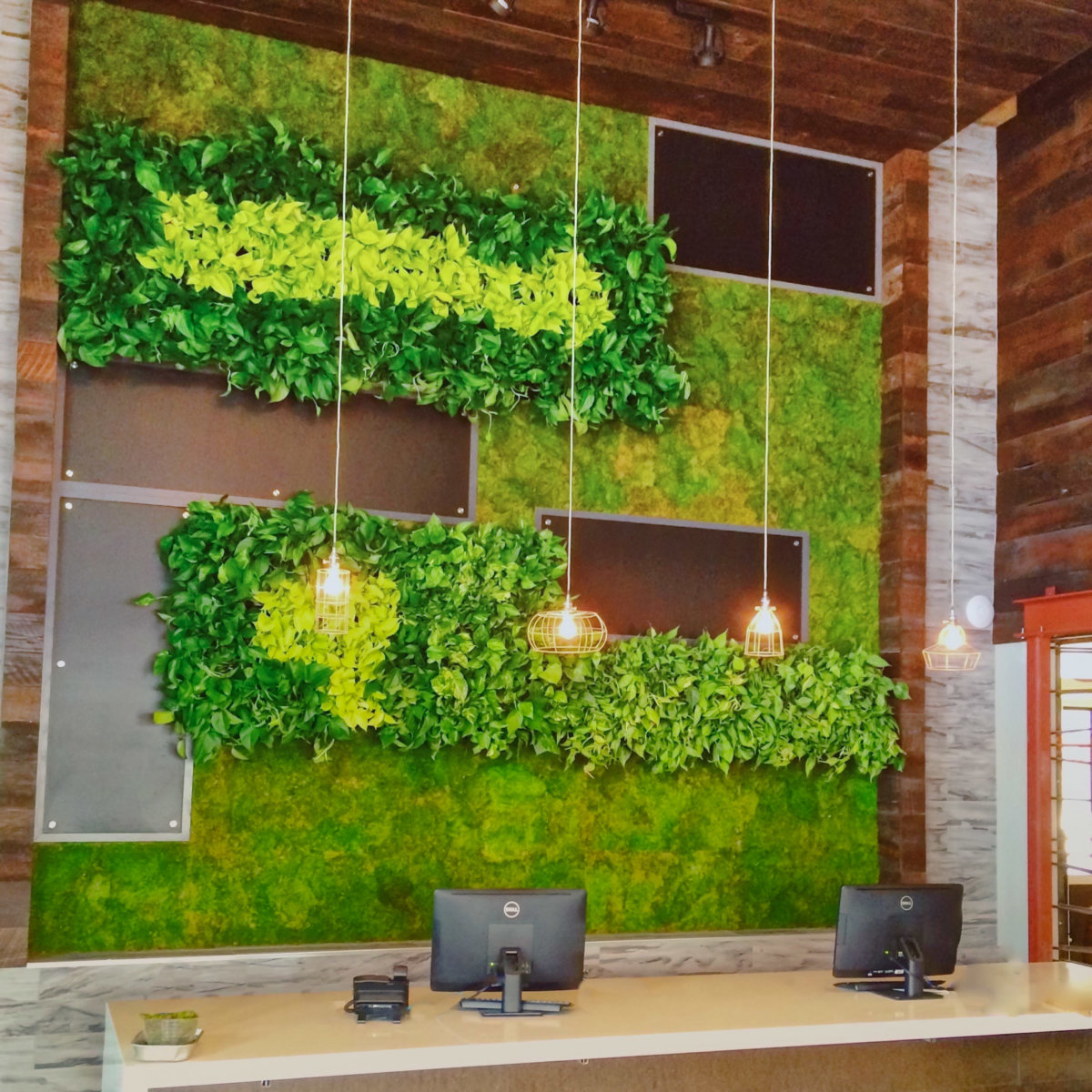 Picture of Plant Solutions Photo Gallery