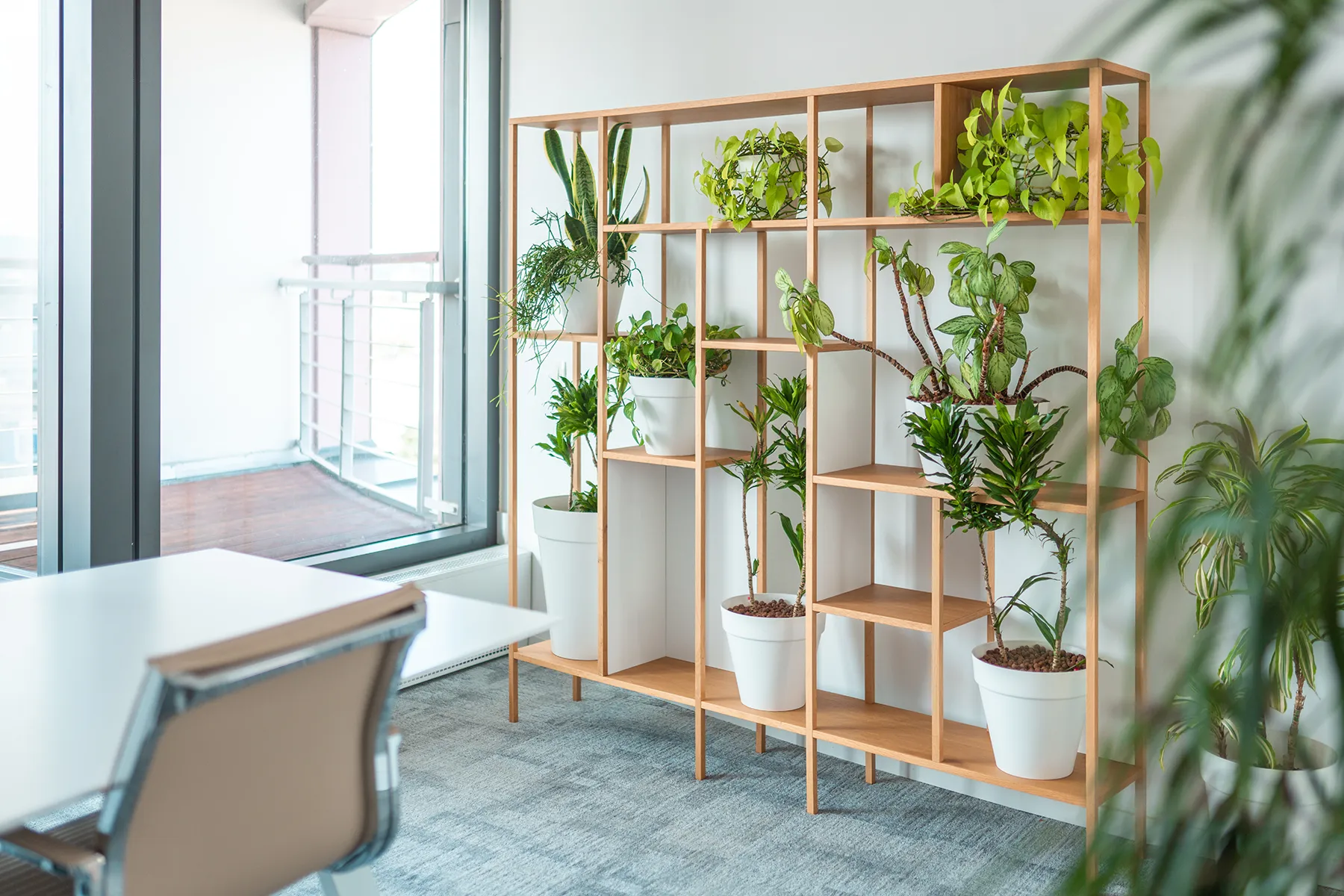 A well-lit, cozy office space featuring lush indoor plants, a large window, and comfortable seating, creating a warm winter atmosphere.