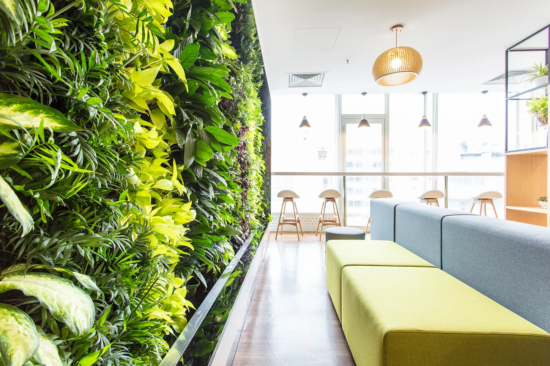 A bright, modern office space with lush indoor plants and a comfortable seating area designed for employee breaks and relaxation.