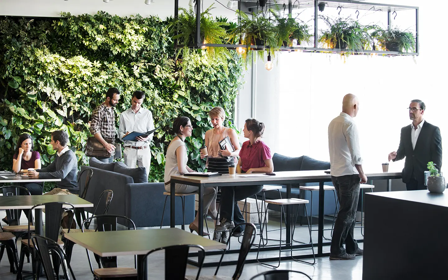 The well-being of your employees is improved with plants in their environment.