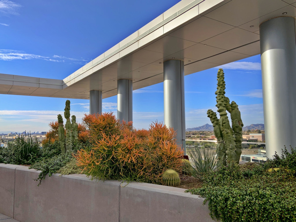 biophilic-design-development