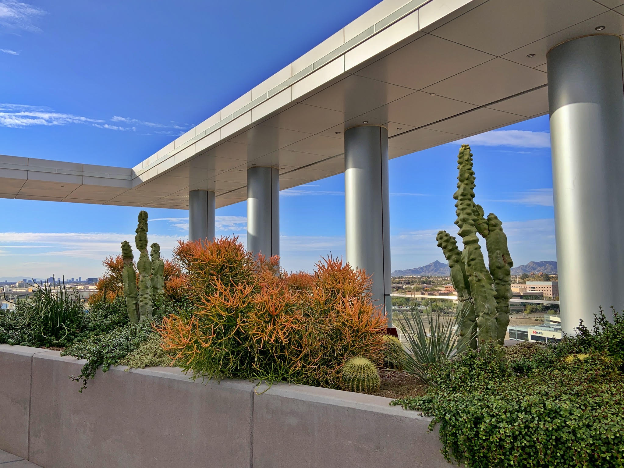 Photo of Biophilic Design found a the The Grand at Papago Park Center