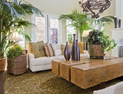 Can Indoor Plants Boost Your Home’s Resale Value?