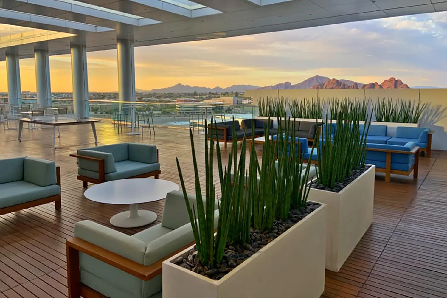 View of the rooftop lounging area, adorned with planters with desert plants inside.