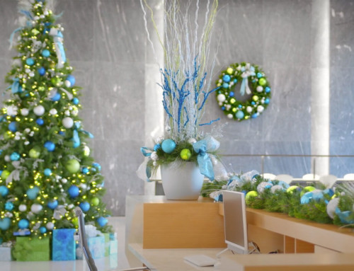 Plant Solutions Is Your Holiday Decorating Solution This Winter Season