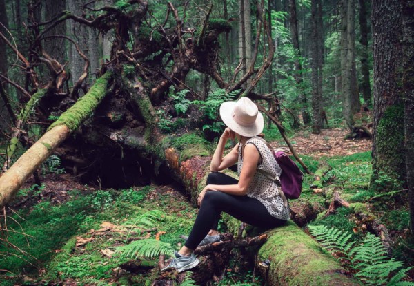 Forest bathing woman explores the serenity that nature provides.