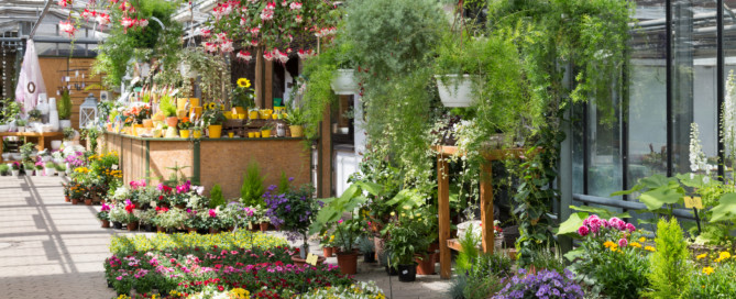 plant greenhouse