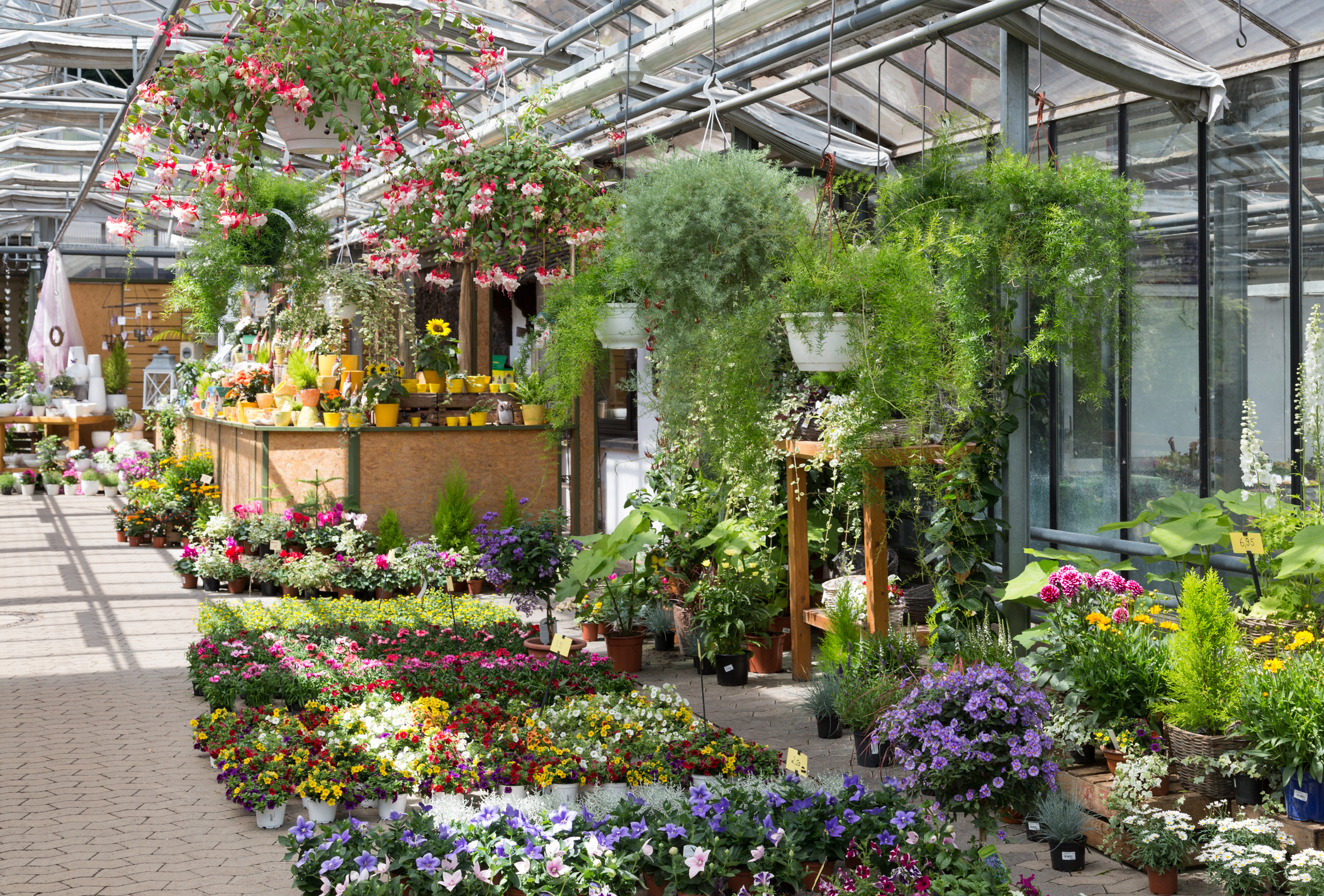 plant greenhouse