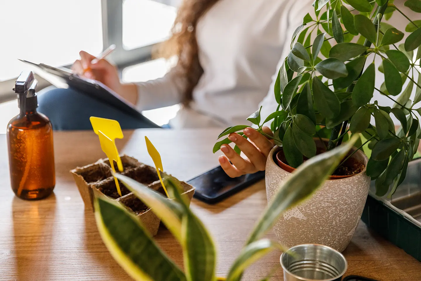 Increase employee retention rates with plants at the office.
