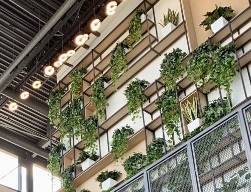 Say Goodbye to a Stark Office and Hello to Biophilic Design