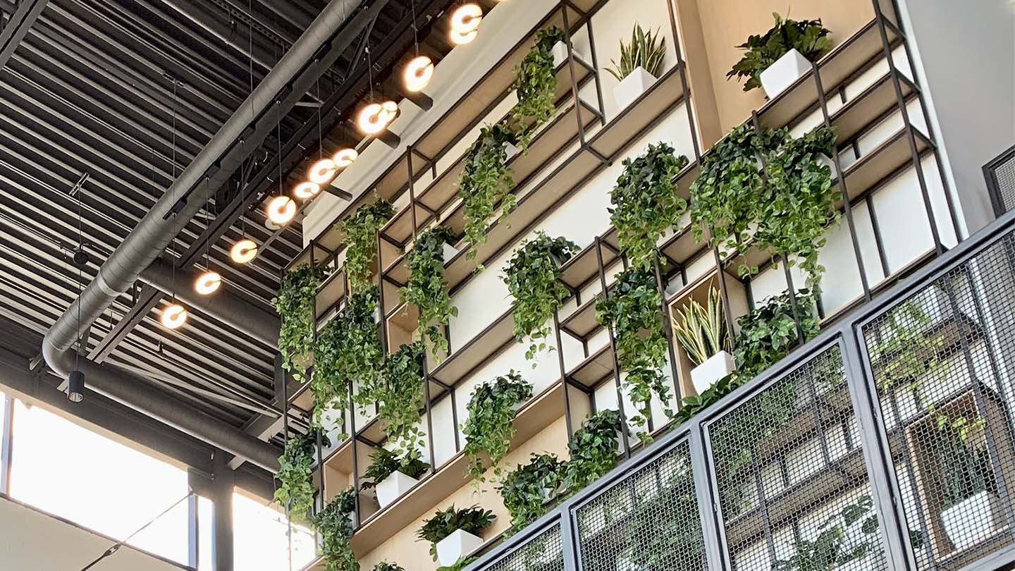 Say Goodbye to a Stark Office and Hello to Biophilic Design