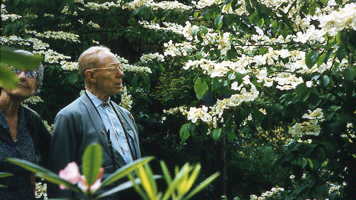 Plant wall origins: Stan Hart White.
