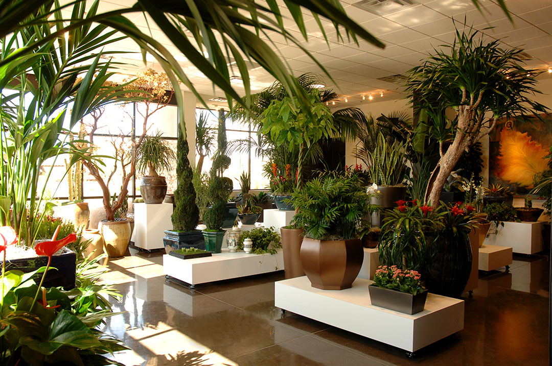 Interiorscaping with Potted Plants