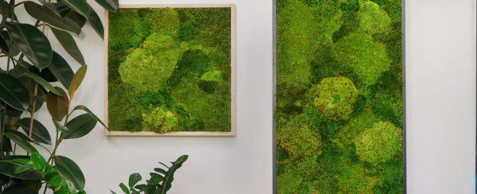 MossWallArt hanging on office wall.