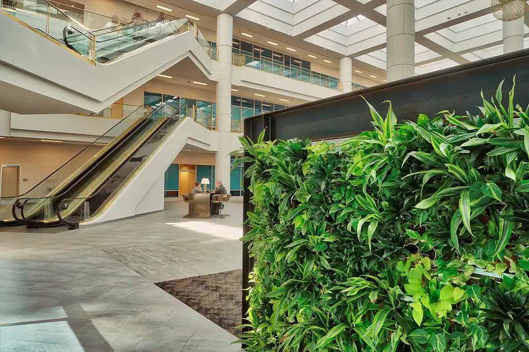 Biophilic design enhances our connection to nature, while biomimicry replicates nature's solutions.