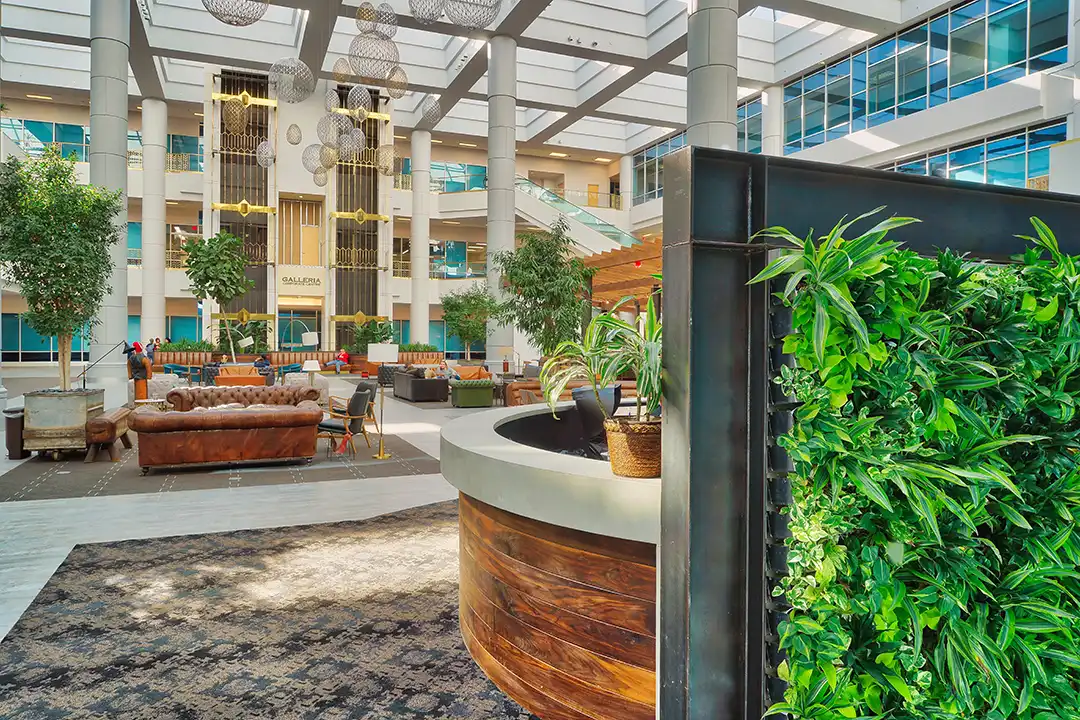 Modern office interior with biophilic architecture, featuring large potted plants and natural wood accents.