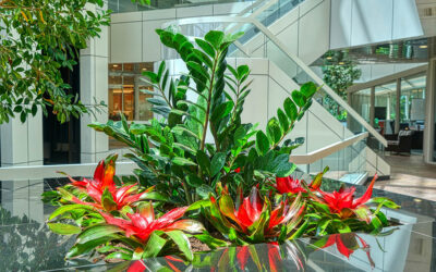 Pop of Color: Plant Designs Don’t Have to Be Just Green