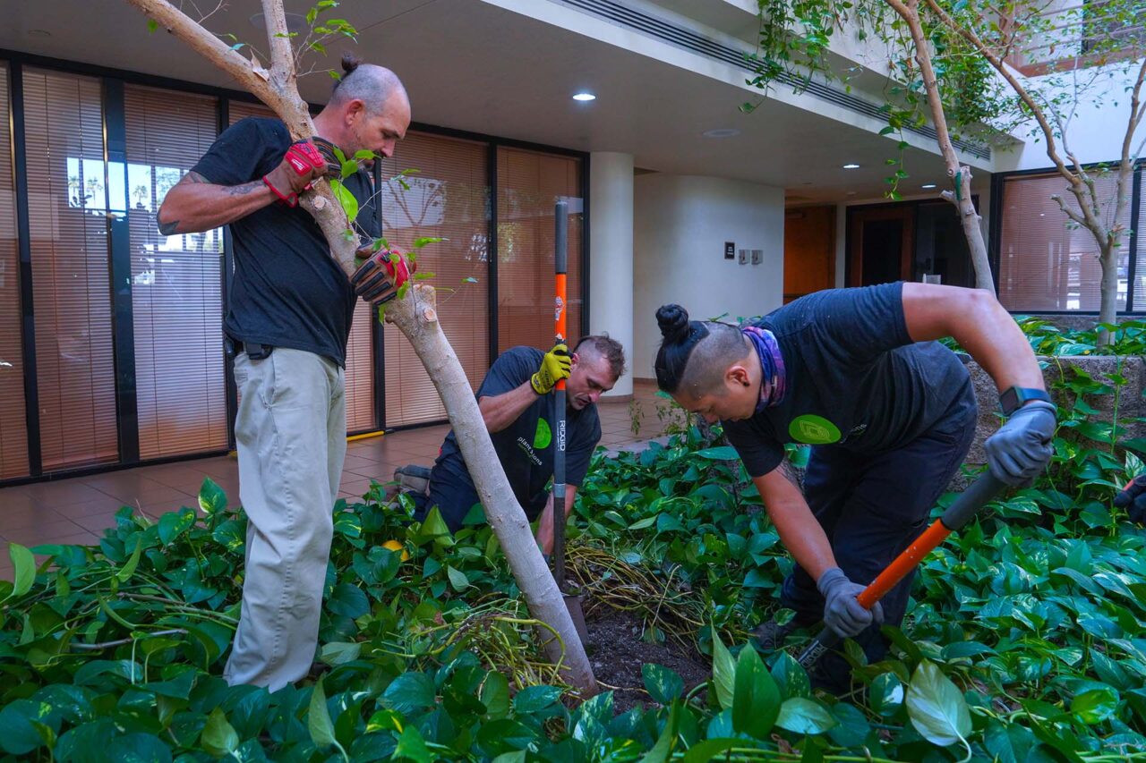 Horticultural Services