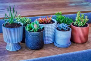Plant design pots