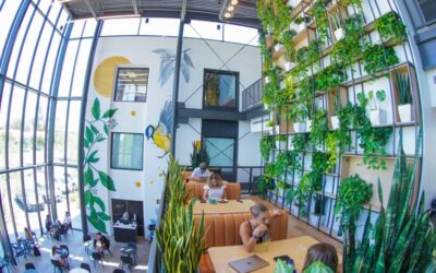 2024 Design Trends to Watch for: Will Biophilic Design Return Next Year?