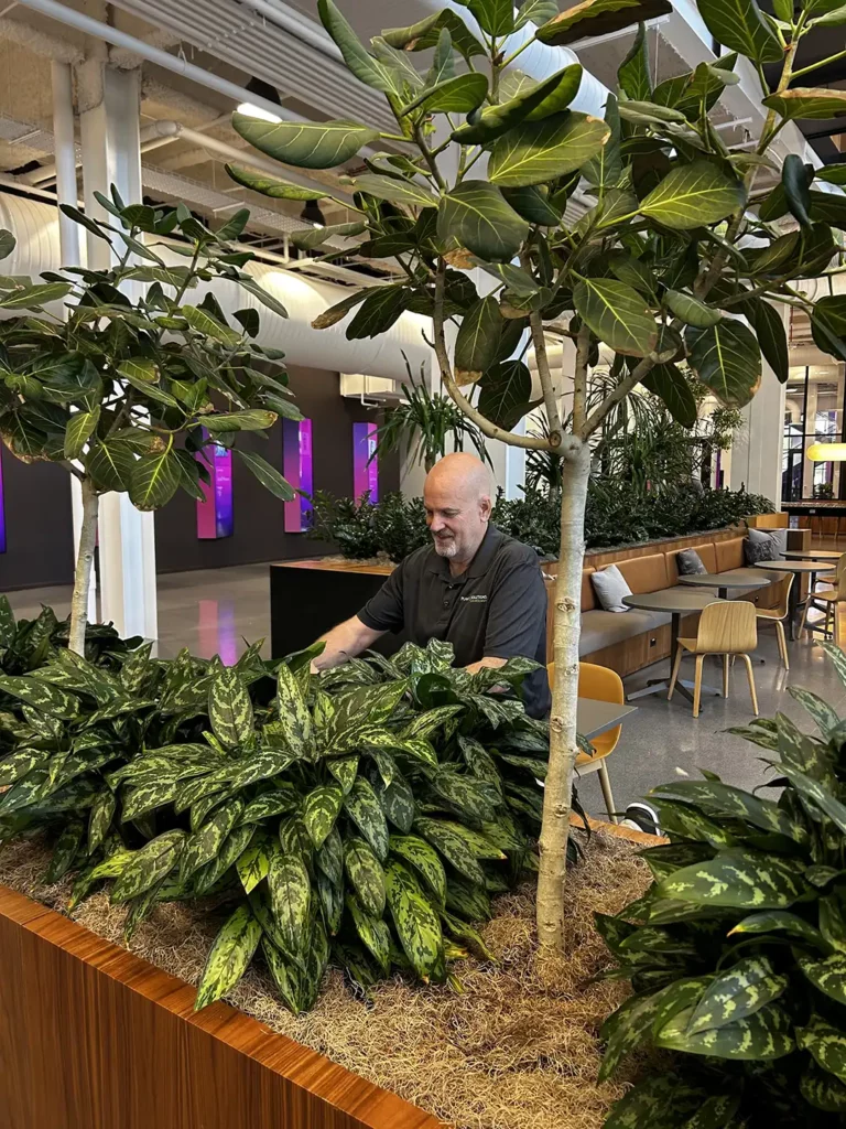Phoenix Plant Rental -- Project: Insight | Location: Chandler, AZ