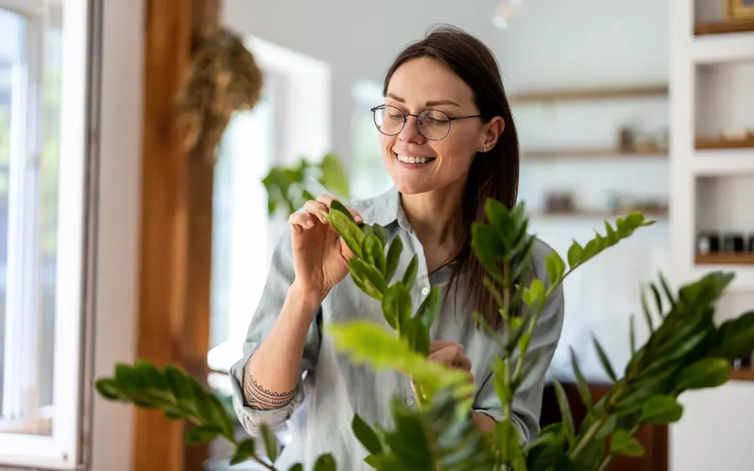 Discover Your Inner Plant: What Your Desk Plant Personality Says About You