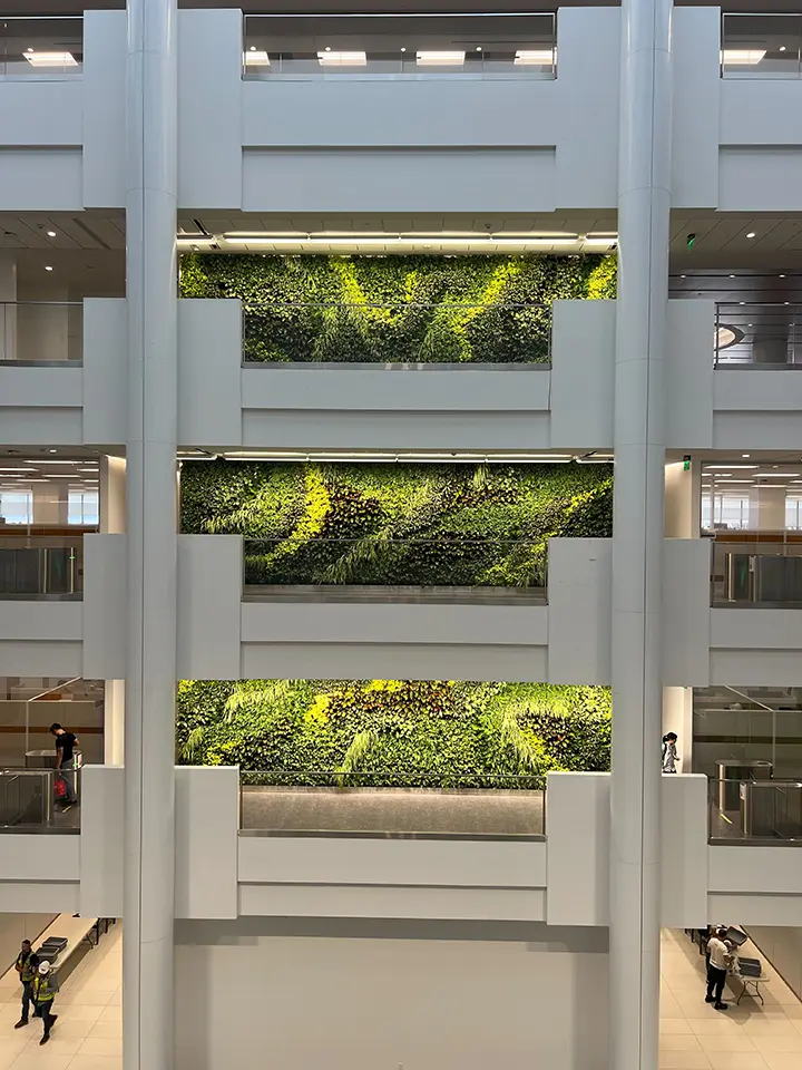 Air quality improvement with living walls