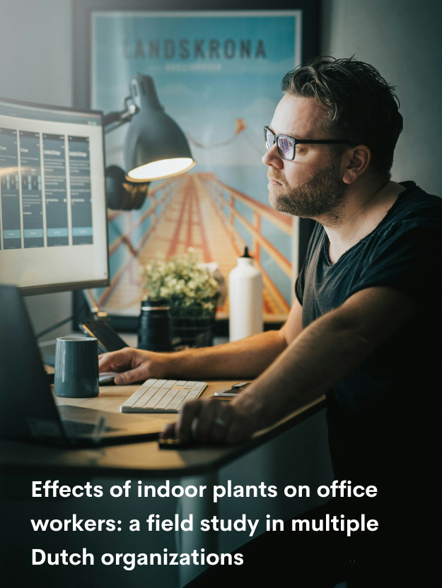 Benefits of Plants in the Workplace