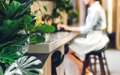 Boost your bottom line this budget season with office plant solutions