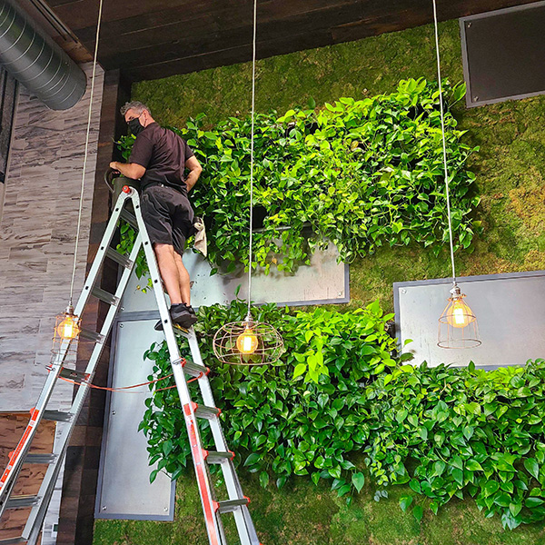 Example of biophilic architecture with indoor plant walls.