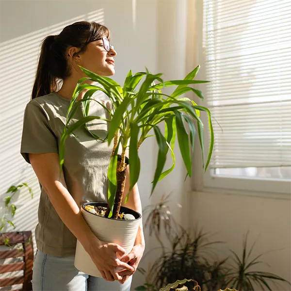 Combat workplace stress and burnout by adding indoor plants to your environment.