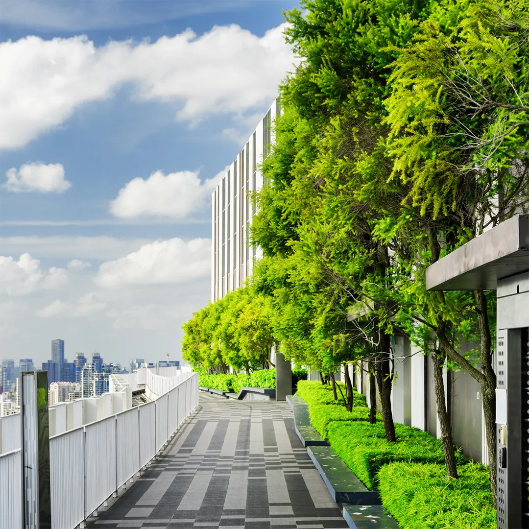 City rooftop balcony with fresh plants installed.