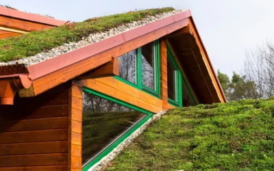 Benefits and design considerations for green roofs in Phoenix