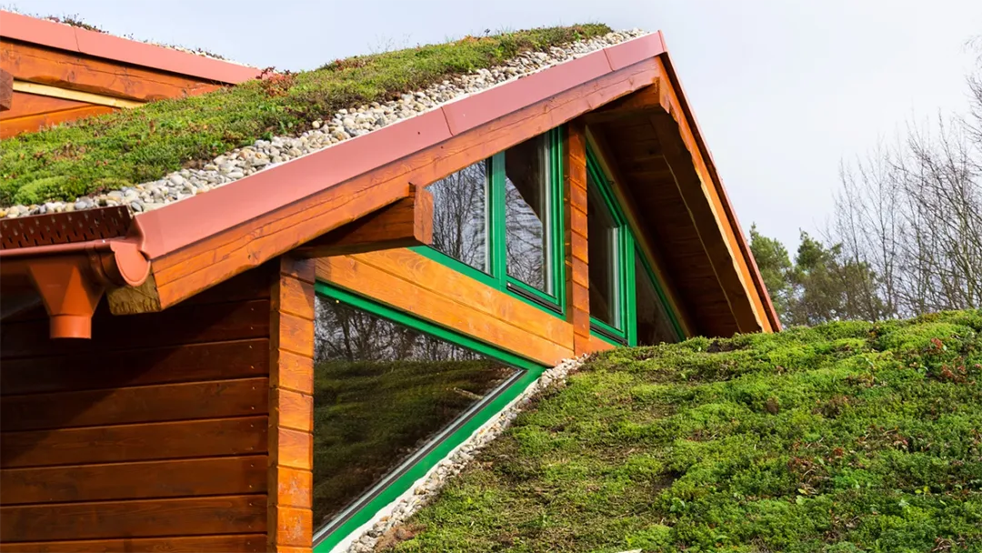 Building integrating plants in their roof, making a green roof.