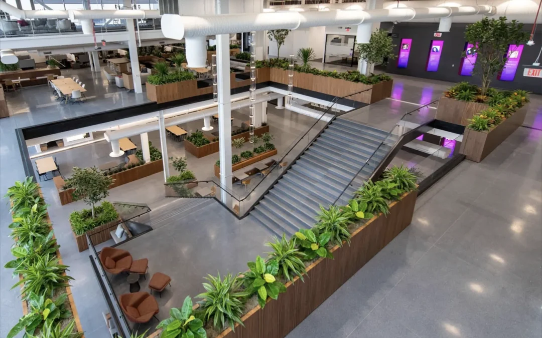 Projects Archive Plant Solutions