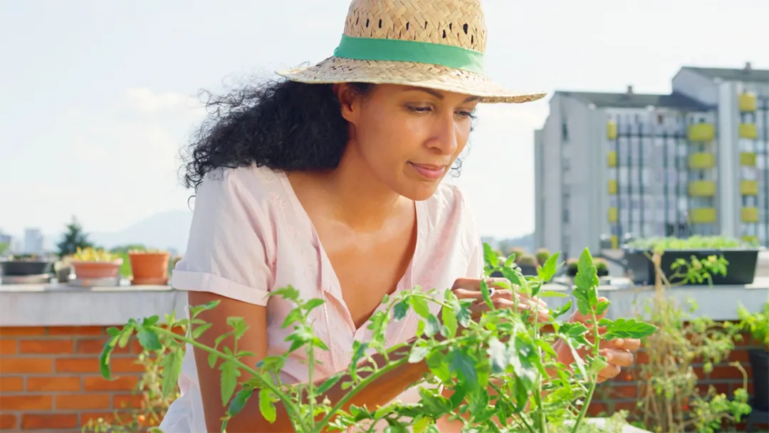 Enhance employee focus and engagement with the calming presence of plants. They provide psychological benefits.