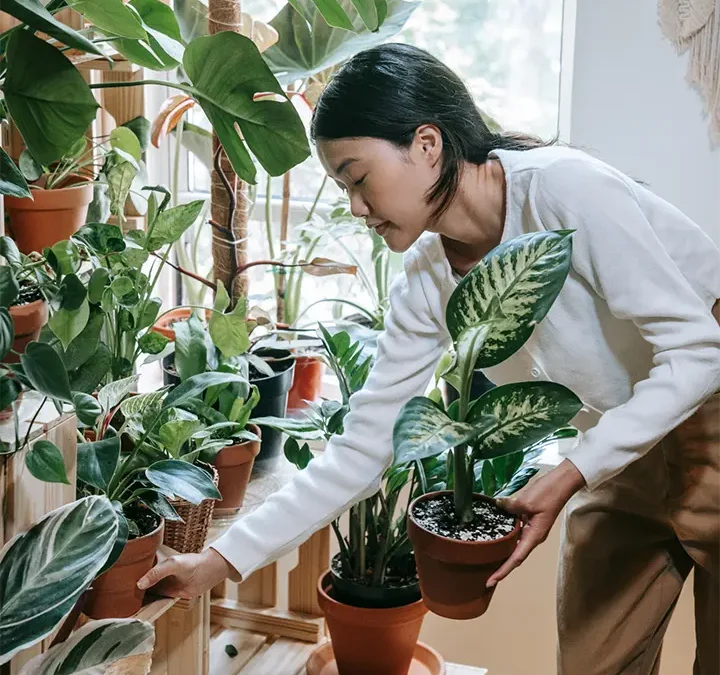 Revolutionizing acoustic design with plants for soundproofing in the workplace