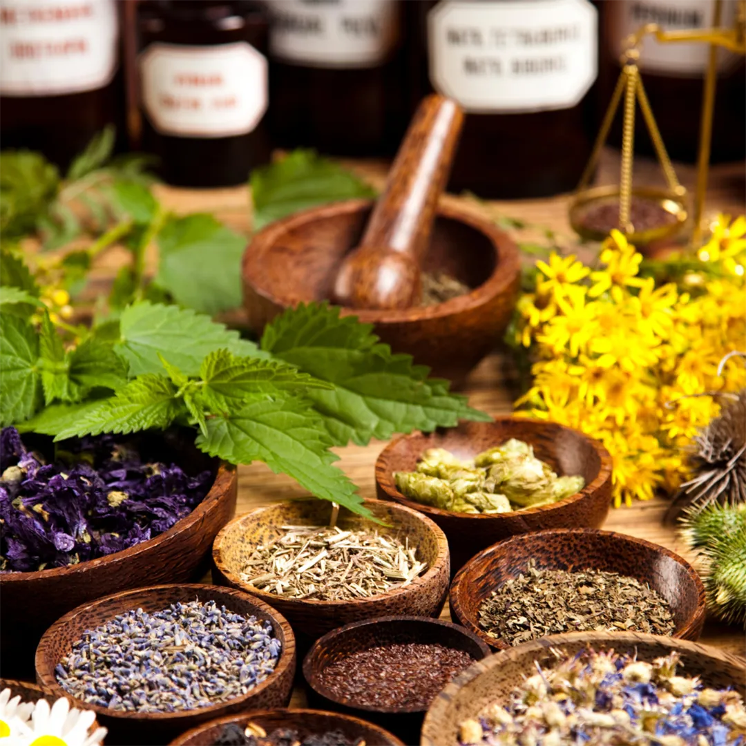 Channel the healing power of nature with herbs witches have used for centuries.