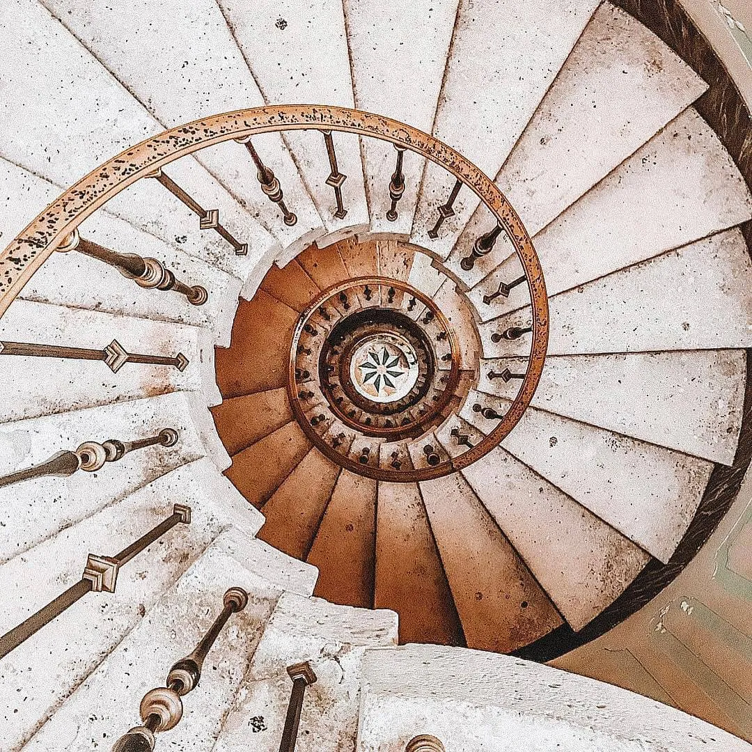 This staircase was designed using the golden rule, which is found abundantly in nature.