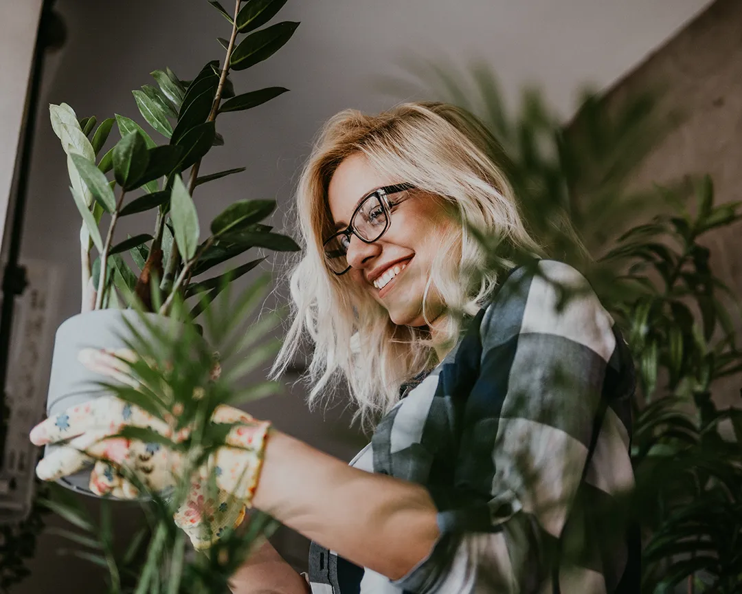 Incorporating indoor plants into your space can reduce toxins and create a healthier environment.