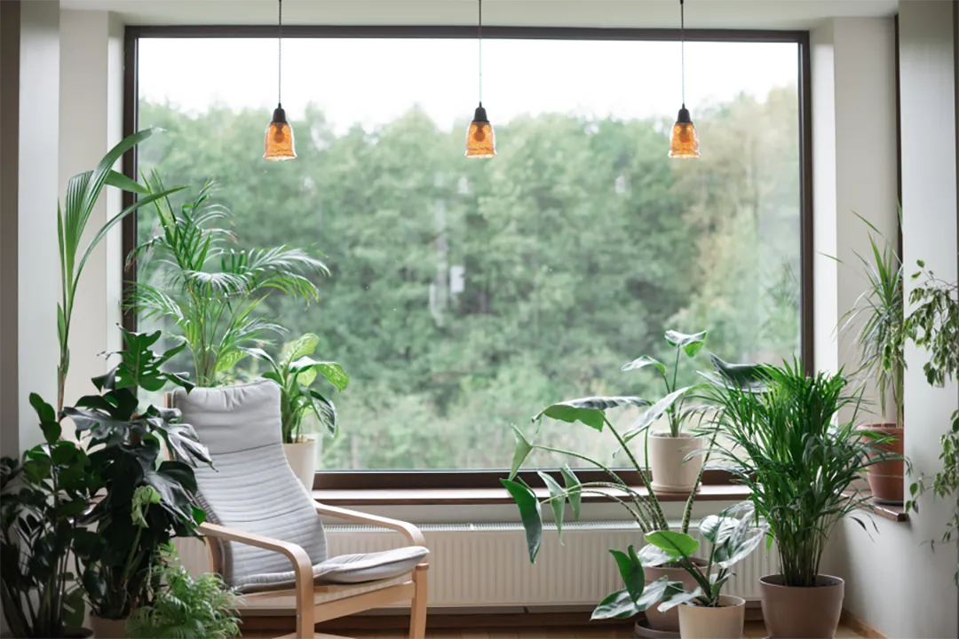 Natural light, outdoor views, and real plants are an easy way to incorporate biophilic design into any space.